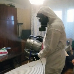 Дезинфекция от клопов в Ревде
