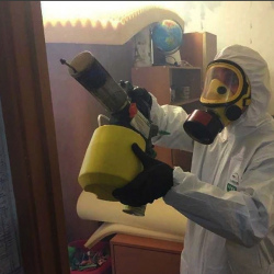 Уничтожение клопов в квартире. Ревда